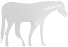 сuv
